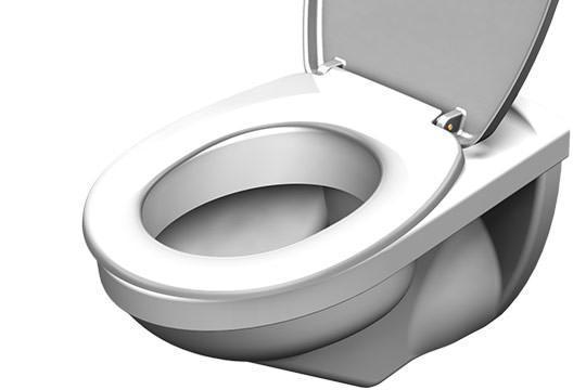 hygienische toilette goldpunkt hygienische toilette goldpunkt